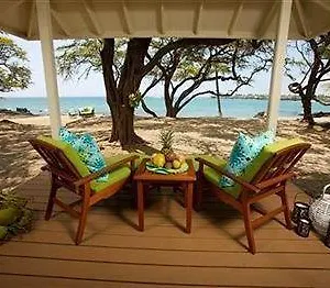 https://lava-lava-beach-club.hotelsinhawaii.org